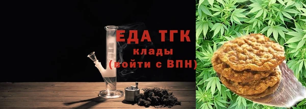 ECSTASY Алзамай