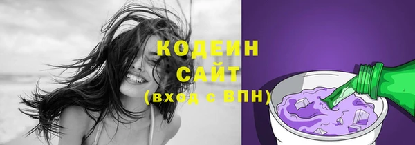 дживик Абаза