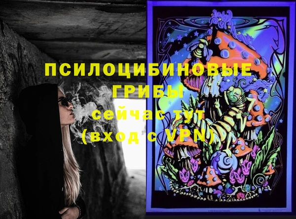дживик Абаза
