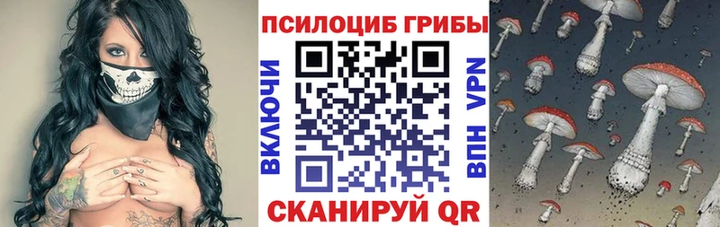 MEGA зеркало  Энем  Галлюциногенные грибы Psilocybine cubensis 
